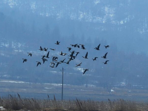 ��ʮ�򱱹����ۼ�����ʪ�ء�