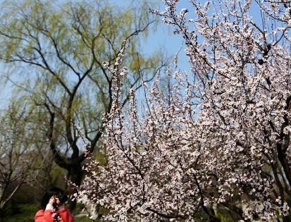 ������ӣ�������������Ͼ���