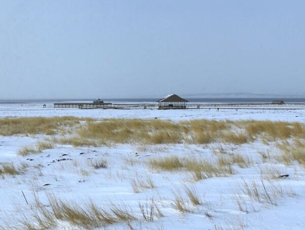 ������Ϸ�ѩ �����ԭ��ѩãã��