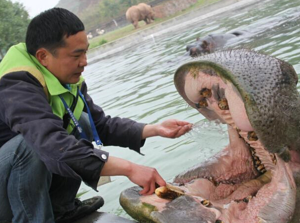 ����һ����԰����Ա�ʹ�����ҽ�� �����������