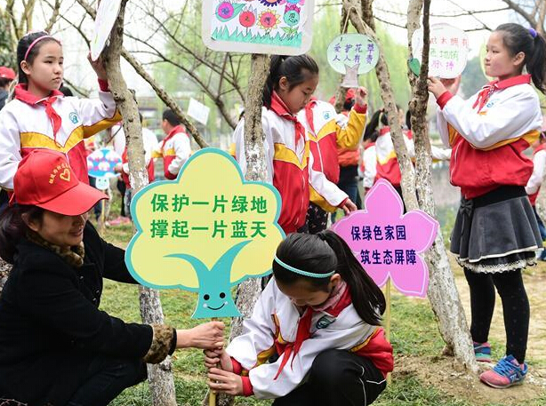 ����ɭ���� ���������С�