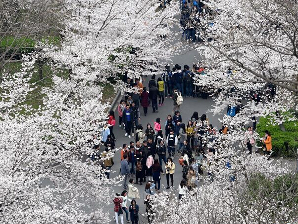 �Ͼ�������У԰ӣ���ڡ�