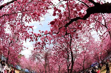 ������Բͨӣ���������ˡ�