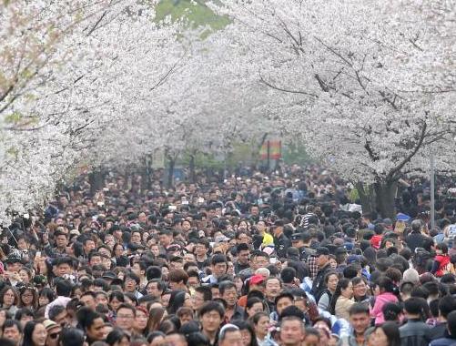 �Ͼ�������ɲӣ��ʢ�� ������Ⱥ�ƺƵ�����