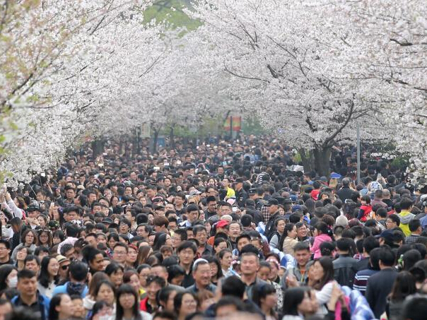 �Ͼ�������ɲӣ��ʢ�� ������Ⱥ�ƺƵ�����