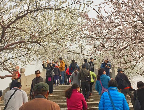 �����ú�԰��