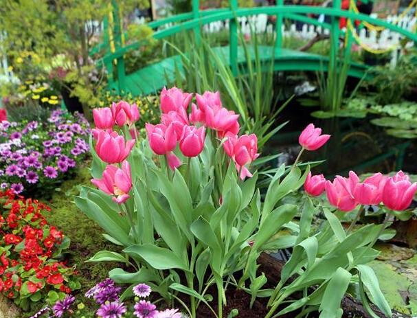 ��ۻ���չ��Ļ ���������ͻ����￴����