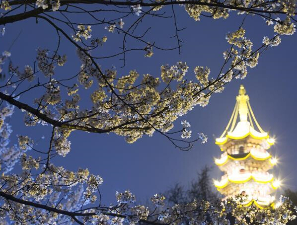 ����ʱ����ҹӣ��