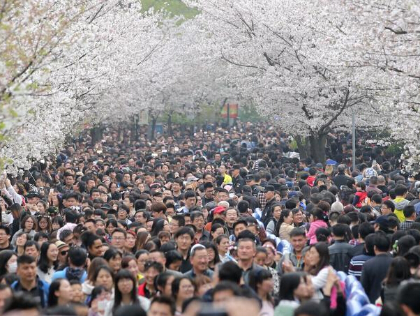 �Ͼ�������ɲӣ��ʢ�� ������Ⱥ�ƺƵ�����