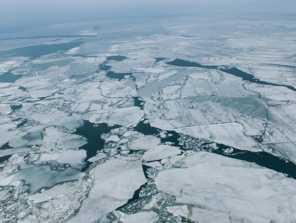 ����ԭ����ʯ���ຣ���Ʊ���