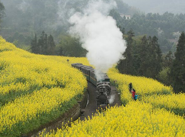 ��������ġ�С�𳵡���