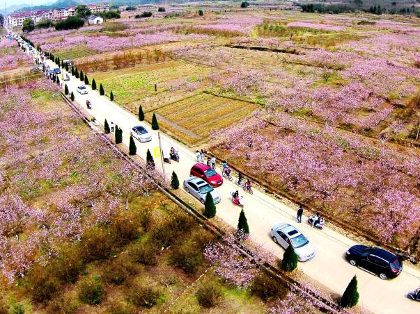 ����㽭�ɾ��һ���Ƭ������Ϊ׳�ۡ�