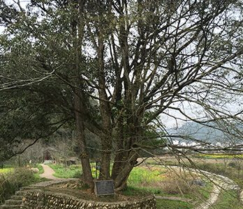 ������Դ��6��ͬ��ǧ�������