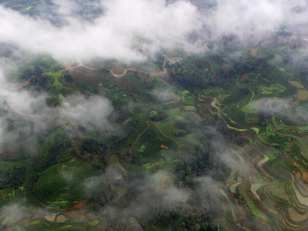 ����������������󴺹�����