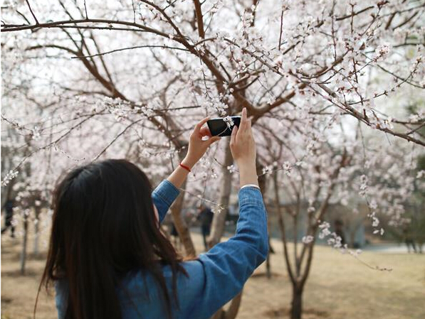 ��������Ԩ̶��ӣ������