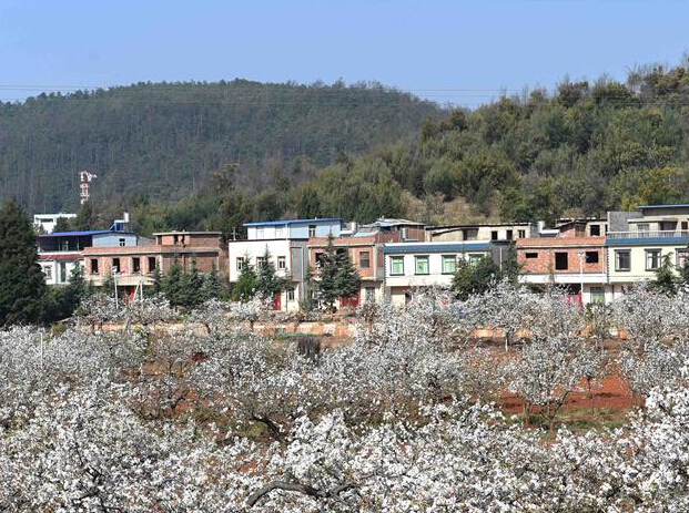 ��������滨ʢ����