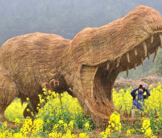 ����һ�˻�����ڷŴ��͵��ݶ���������