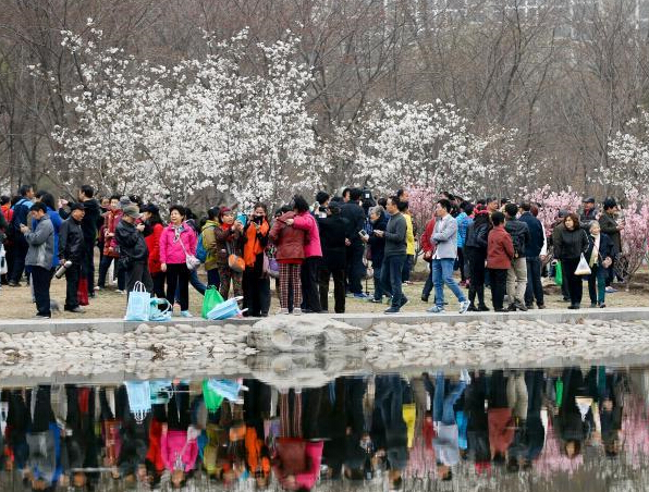 ������Ԩ̶��ӣʢ�� ��������ǰ���ͻ�̤����