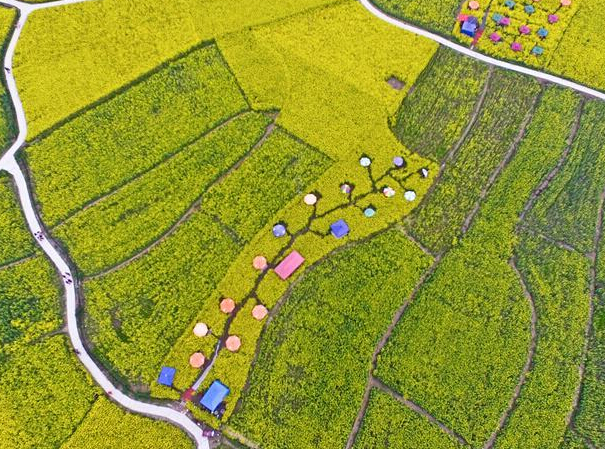 �����й�������