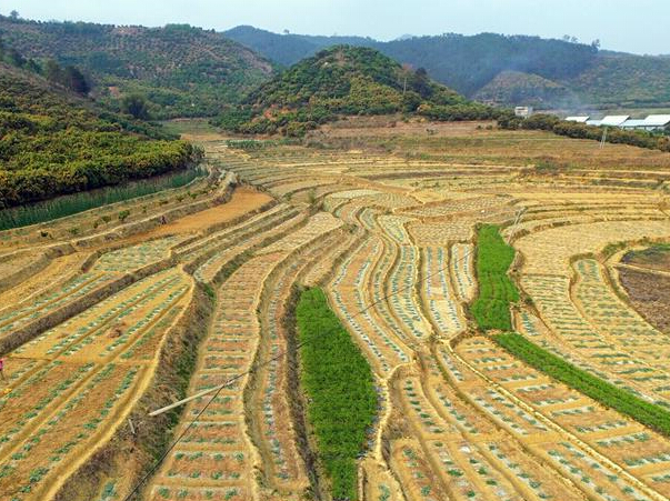 �Ϲ���԰����ͼ��