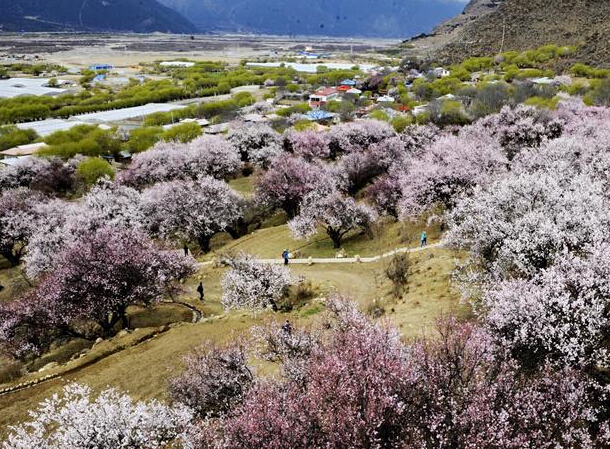 �����ؽ��ϡ����һ���