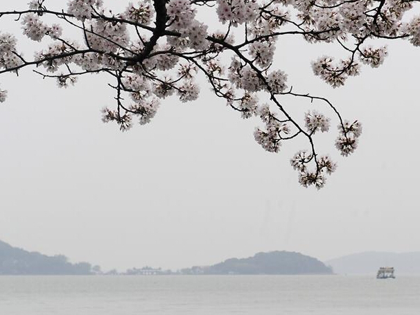 ̫��ӣ��������