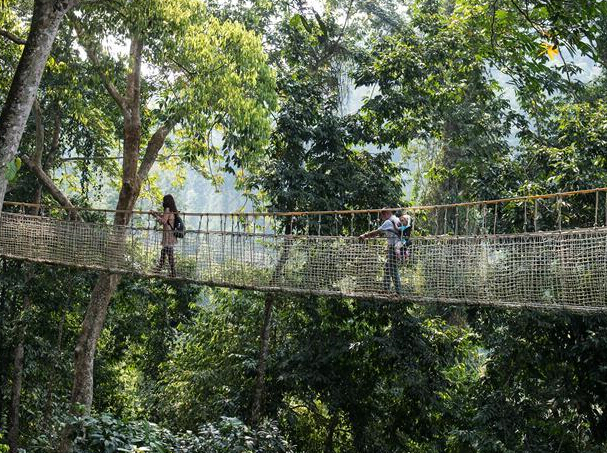 ��˫�������ֵġ�����������