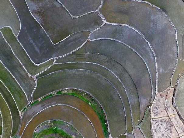 �������紺������