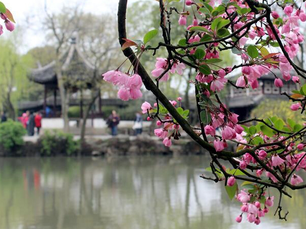 ���Ļ���׾��԰��