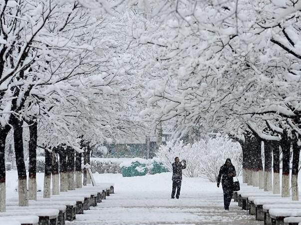 ��ѩ���ԭ��