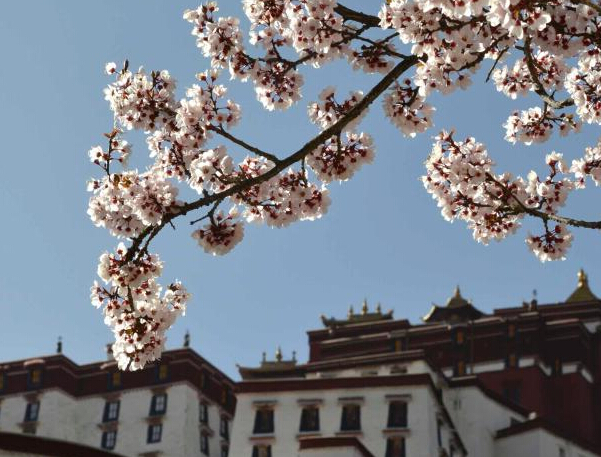 �������� ����������