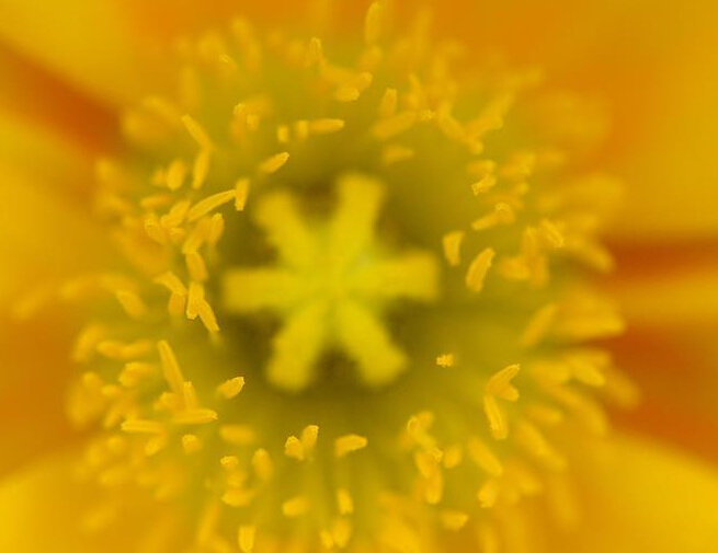 ΢��������Ĵ���֮����