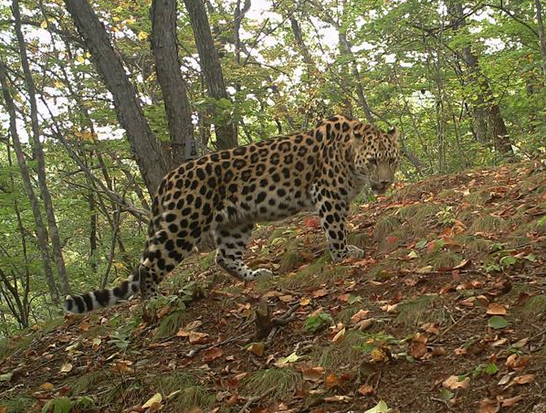 Ұ�����������ڼ����������齨��ͥ����