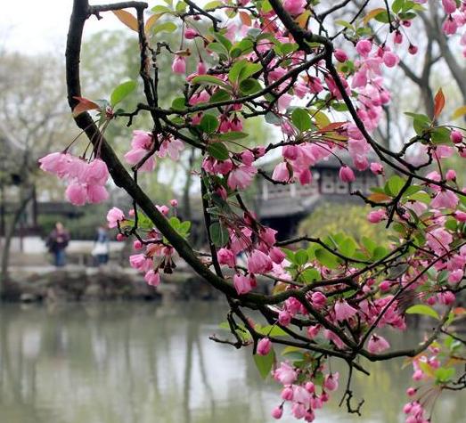 ���Ļ���׾��԰��