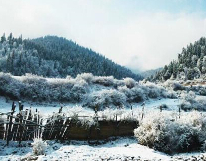 �������ɽ���֡���ѩ����ɫ��