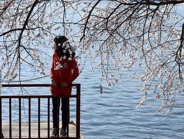 �����ú�԰����԰��ɫ��