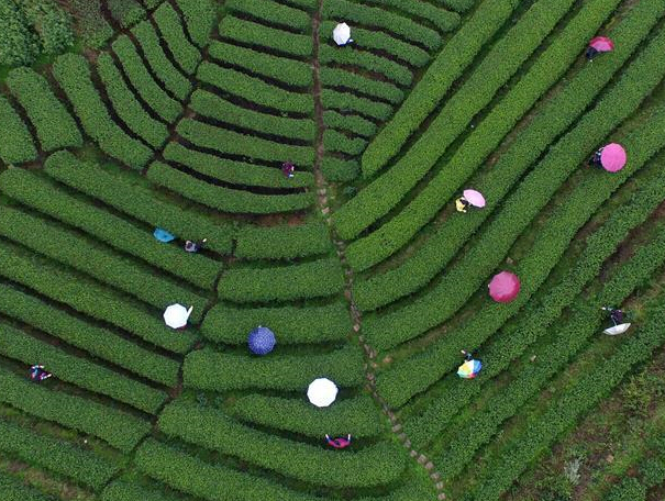 ������ϡ�