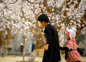 �½���һ�� ��³��ӭ�������ӻ�����