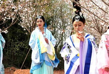 美女身着汉服亮相红山樱花节 重现古时赏樱盛景”