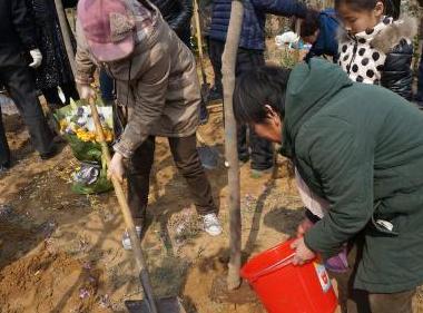 郑州94个家庭参与绿色树葬”