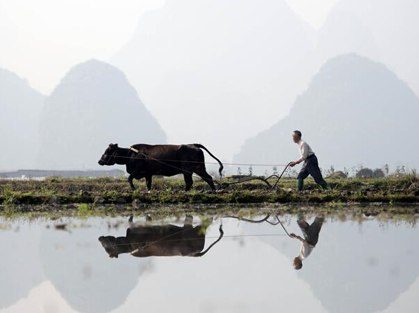 ����ɽˮ�䡱