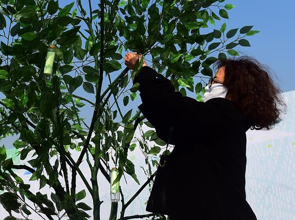 ������������ǰ������ɨ��