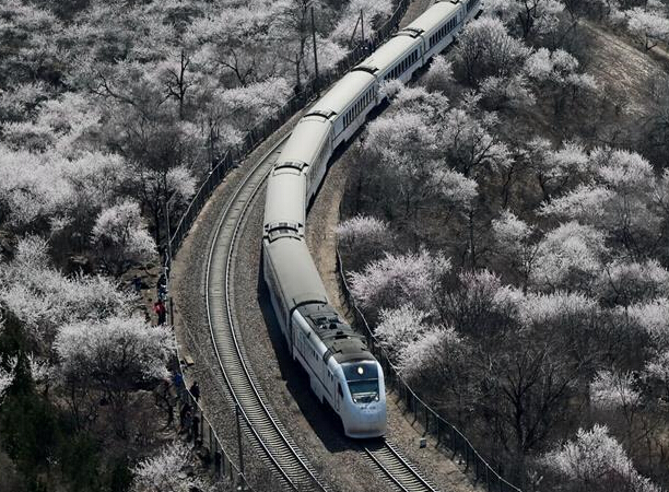 ��Խ�ҷ����г���