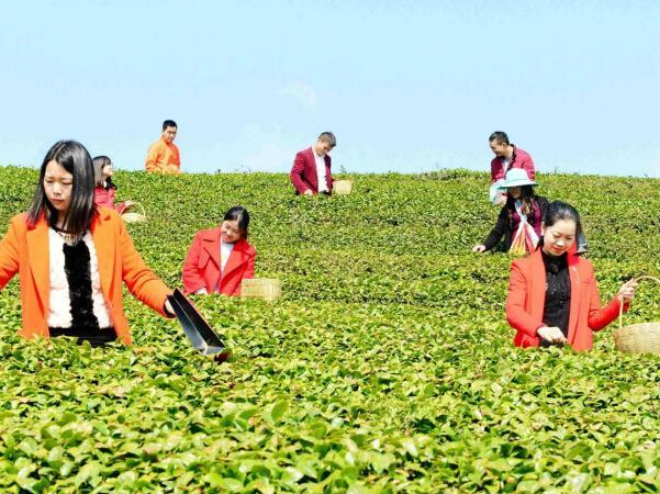 ��ǰ���ժ���ƽ𼾡� ����������ũ�ɲ�æ��