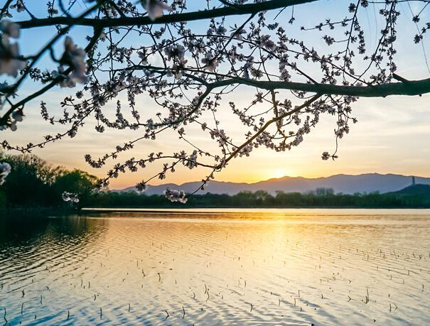 �ú�԰����ʢ����