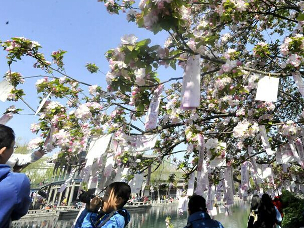 ��������̶�ٰ�ӣ���ڡ�