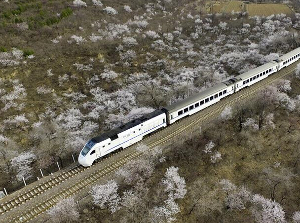 ʻ�봺����г���