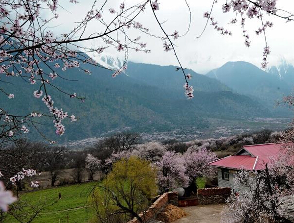 ���ò��ܲ���Դ��