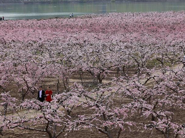 ����̺���������