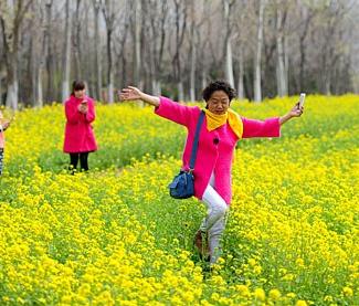 济南民众“花海”寻芳”